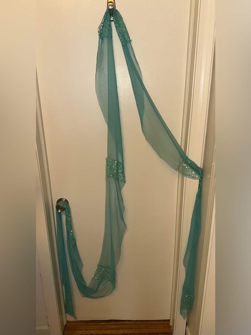 BRANDLESS Women’s Sheer Teal Chiffon Scarf with Sequin Accents